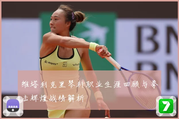 维塔利克里琴科职业生涯回顾与拳击辉煌战绩解析