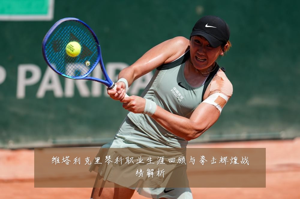 维塔利克里琴科职业生涯回顾与拳击辉煌战绩解析